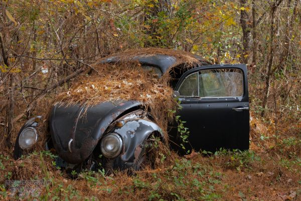 Sell junk car Raleigh